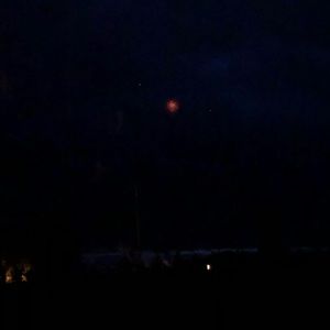 Meet your Posher, Brittney